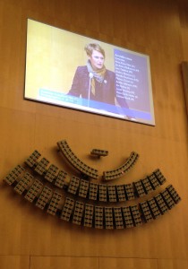 Anna-Karin Hatt i riksdagens budgetdebatt om it